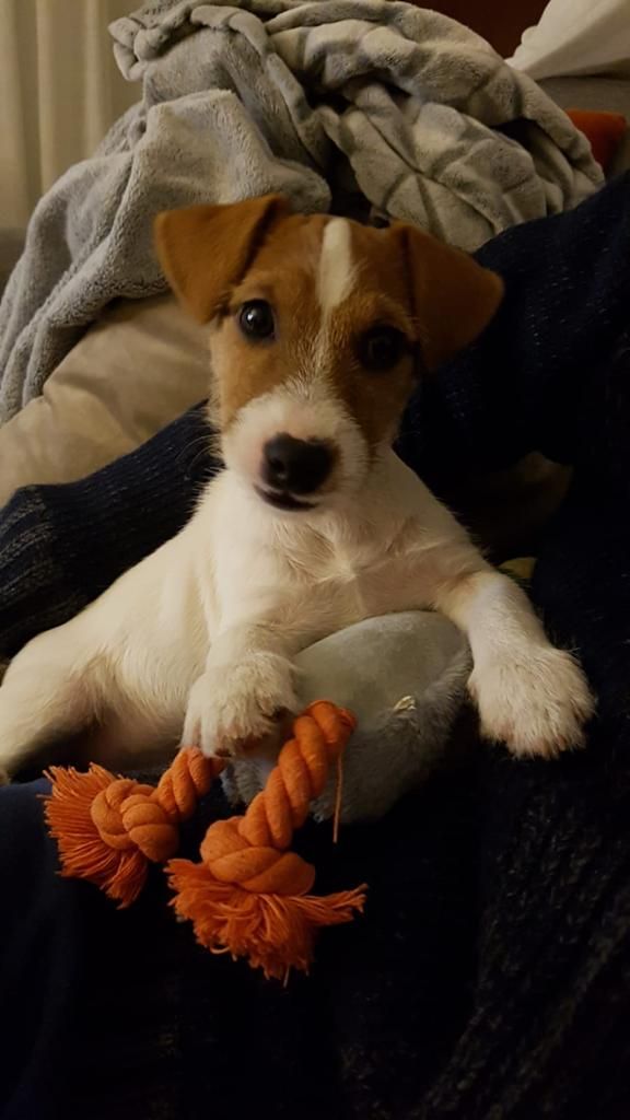 Bébés de Hera et Percy